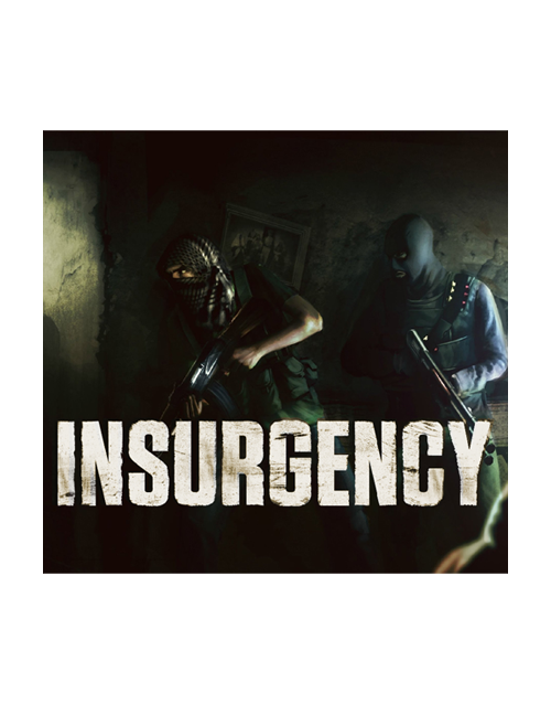 Insurgency